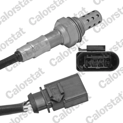 Oxygen Sensor